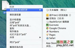 超牛txt小說閱讀器 for Mac v1.6 官方最新蘋果電腦版深度解析與獲取指南